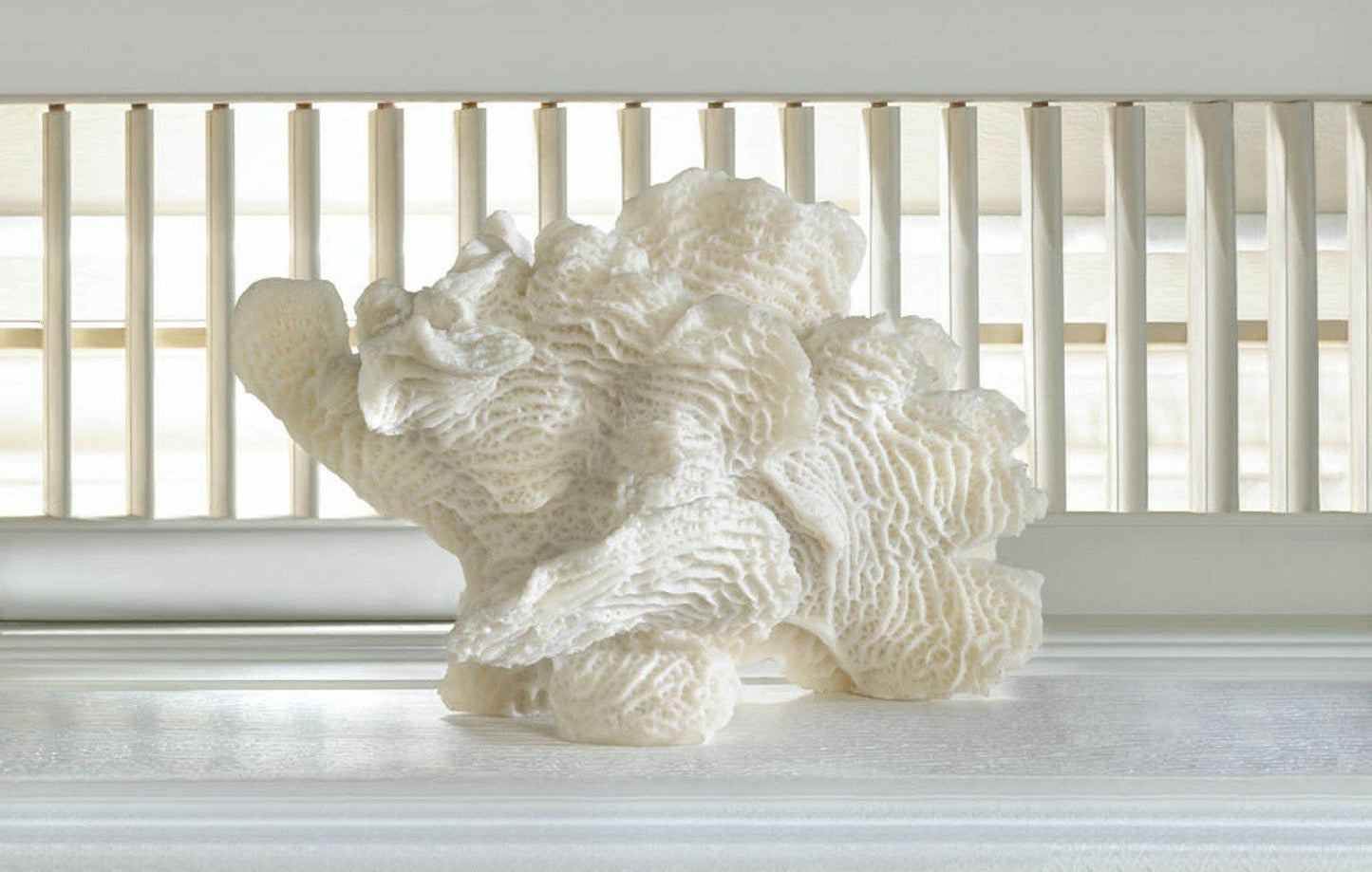 Large White Coral Tabletop Decor 